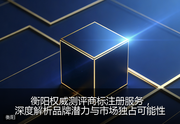 衡阳权威测评商标注册服务，深度解析品牌潜力与市场独占可能性