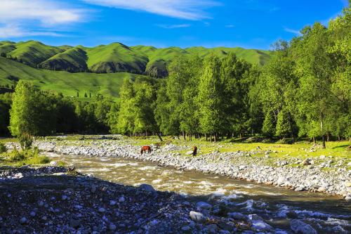 为什么外国没有国六,我们中国国6点16。
