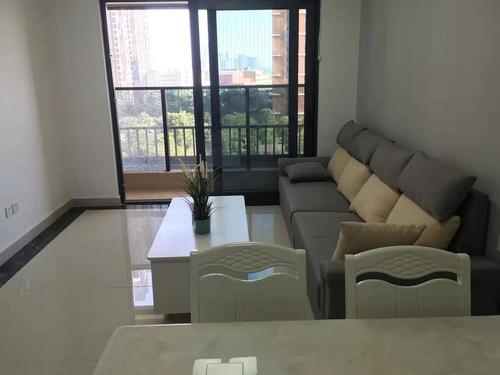 花钱抢票能抢到吗 (智行火车票加钱抢票能抢到吗)