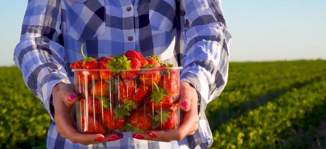 世界十大最贵水果(世界上最贵的水果前十名) 3 世界十大最贵水果(世界上最贵的水果前十名) 3