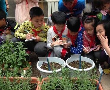 拿什么拯救你我的中药专利