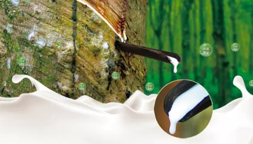 乳胶商标注册属于第几类?