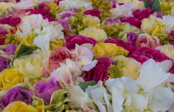 人造花商标注册属于哪一类?