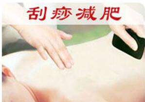 减肥瘦身十大品牌商标图案大全赏析