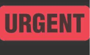 Bathurst商标并不一定表明量产车肯定已经准备好使