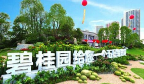 五星级的家”字样，被认定属于不得作为商标使