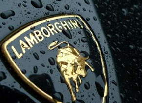 以“动物”为标志的汽车，路上见到记得避让，