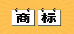 国知局公布2019年1-12月专利、商标、地理标志等统